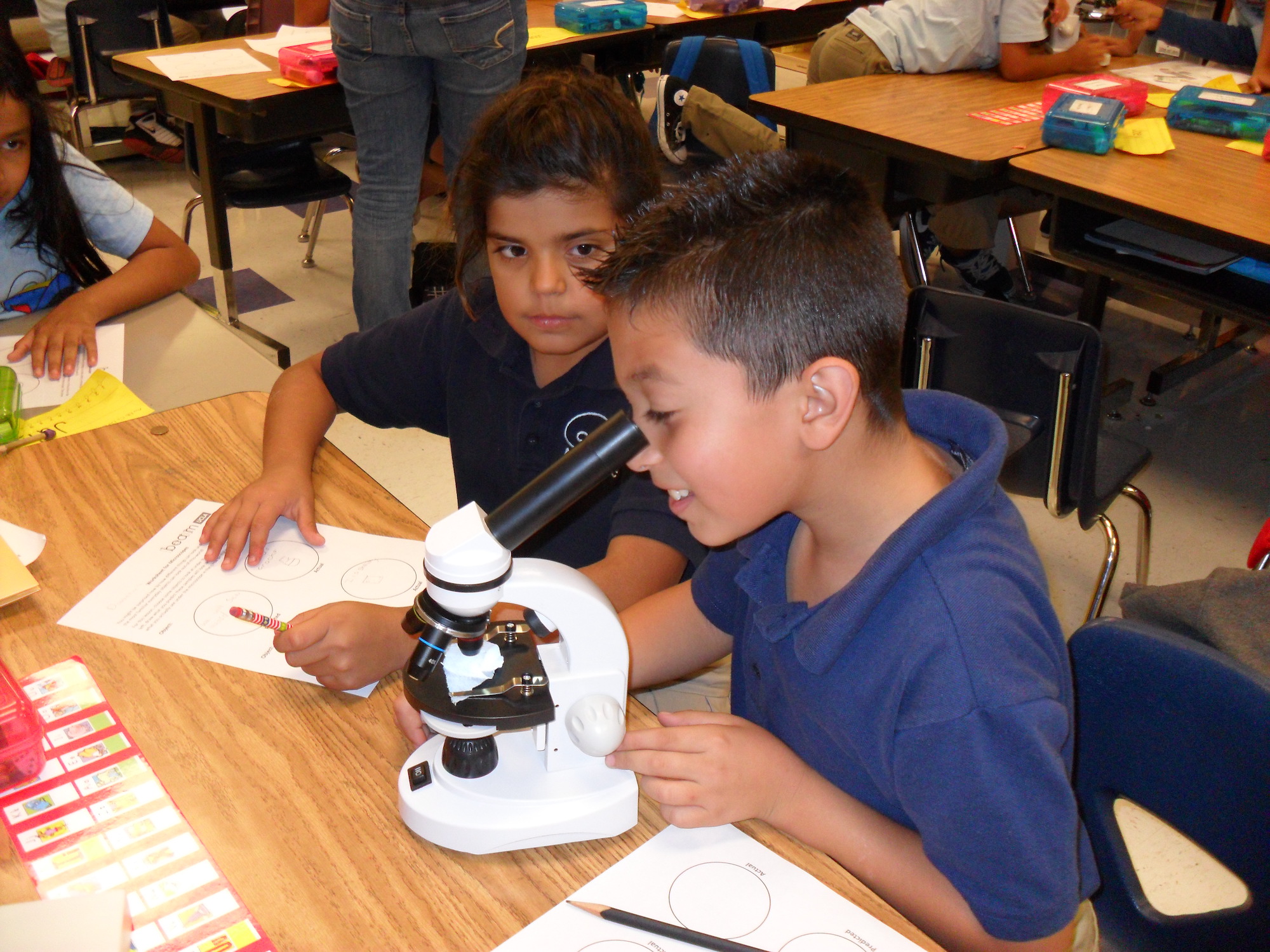 Microscopes lesson